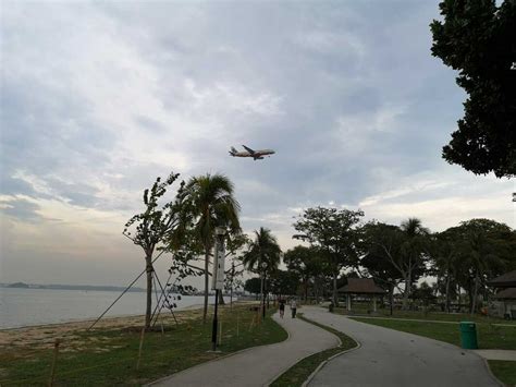 BBQ Session at Changi Beach 2019 - AVIATORS IG