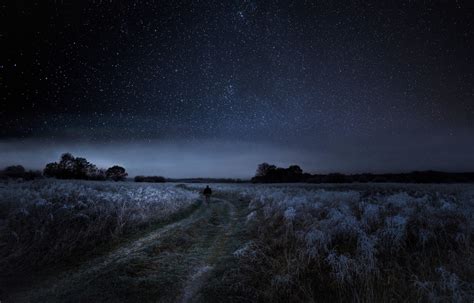 Fond d'écran : des arbres, paysage, galaxie, la nature, ciel, champ ...