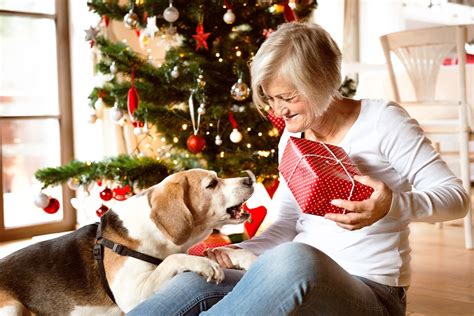 2016 Holiday Pet Gift Guide - Tonka Pet Sitters | Pet Sitters and Dog ...