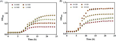 Growth curves of E. coli in different concentrations of MH (A) and LB... | Download Scientific ...
