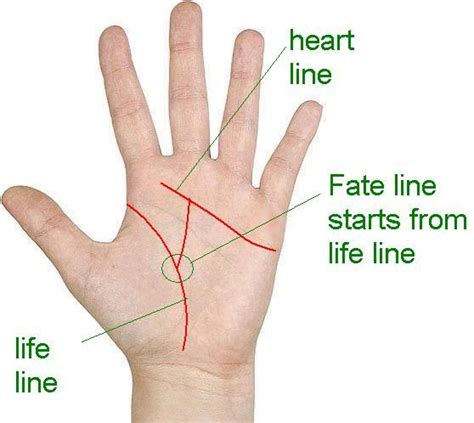 Fate Line and meanings of its different signs | Palm reading, Palm reading lines, Palmistry