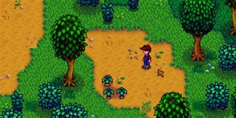 Stardew Valley: Forester or Gatherer? Which Is the Better Profession