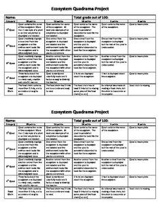 Elementary Animal Research Project | Rubrics, Elementary science, Research projects