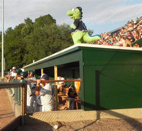 Champ, mascot for the Vermont Lake Monsters, atop the home team dugout ...