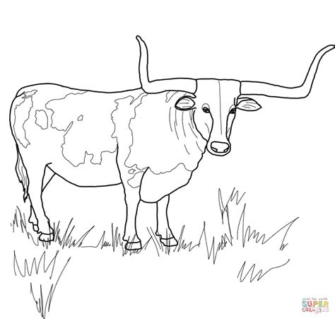 Texas Longhorn Steer coloring page | Free Printable Coloring Pages ...