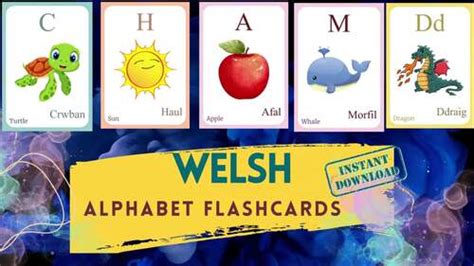 WELSH Alphabet FLASHCARD with picture, Learning WELSH, Welsh Letter ...