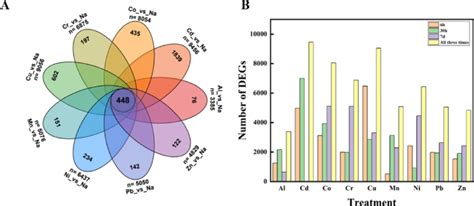 Overview of the transcriptomic data. (A) The number of DEGs at each of ...