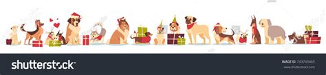 Group Cute Dogs Santa Hats Symbol Stock Vector (Royalty Free) 743743465 | Shutterstock