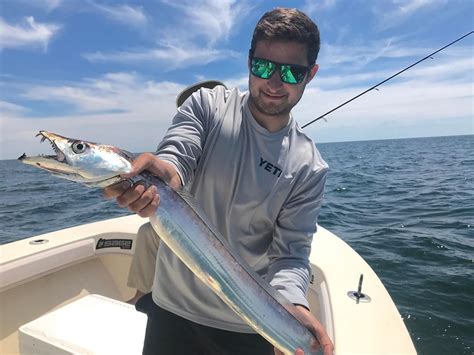 Summer is here and so are the ribbonfish – Outer Banks Fly Fishing