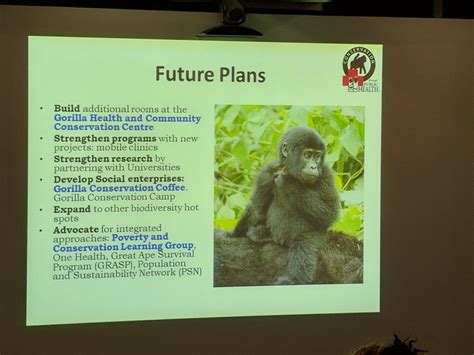 Rethinking conservation and development at Bwindi Impenetrable National Park, Uganda