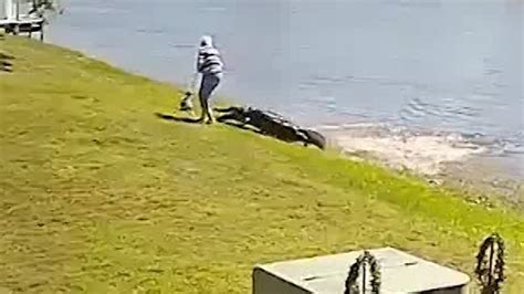 New Video Shows Fatal Florida Alligator Attack, Frantic 911 Audio Released