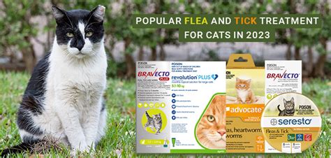 Top Flea and Tick Treatment for Cats in 2023 – Flea and Tick Treatment for Pets – VetSupply