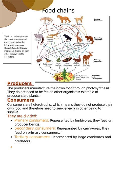 Food chain - science - Food chains Producers The producers manufacture ...