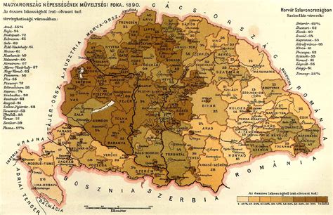 Literacy in the Kingdom of Hungary, 1890 | Map, Old maps, Cartography