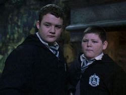 Crabbe and Goyle | Reel Girl