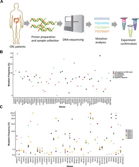 Detection of cancer-associated mutations in T1 cancer tissues. (A)... | Download Scientific Diagram