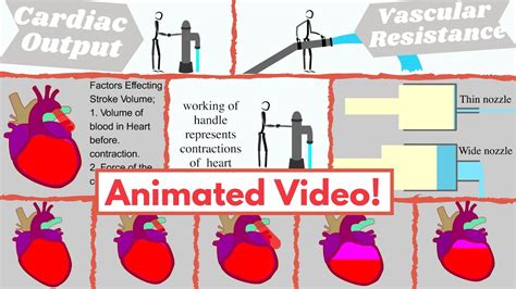 Blood Pressure Dynamics (cardiac output, stroke volume, HR & vascular resistance) Made easy ...