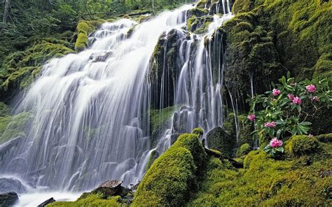 beautiful waterfalls: Nature Wallpaper Windows 7