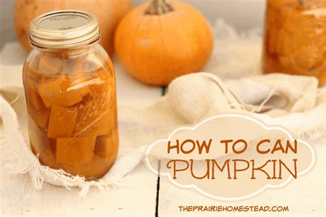 Canning Pumpkin - How to Make Home Canned Pumpkin? - Prepper World