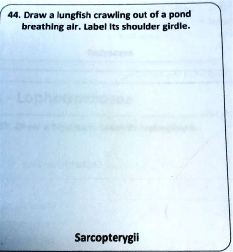 SOLVED: 44. Draw a lungfish crawling out of a pond breathing air. Label its shoulder girdle ...