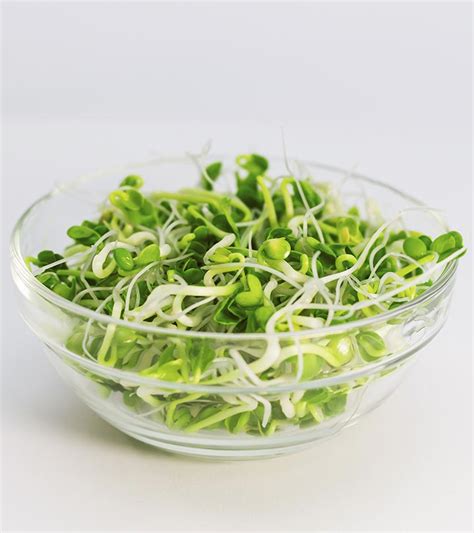 16 Potential Benefits Of Alfalfa For Skin, Hair, And Health