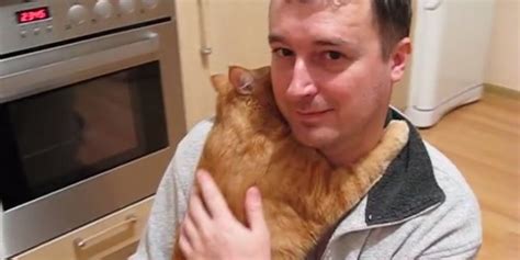 Cat Loves Hugs... A Lot, Apparently | HuffPost