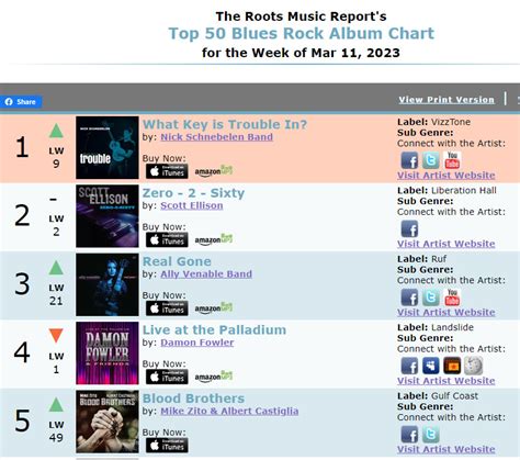 #1 on Top 50 Blues Rock Album Chart | Nick Schnebelen