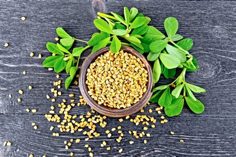 Fenugreek Leaves Vs. Seeds: SPICEography Showdown