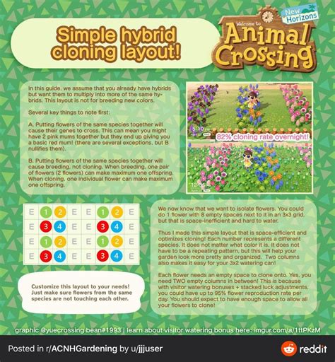 Animal Crossing Bug Guide By Month – Yoiki Guide