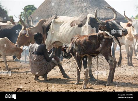 Nuer tribe hi-res stock photography and images - Alamy