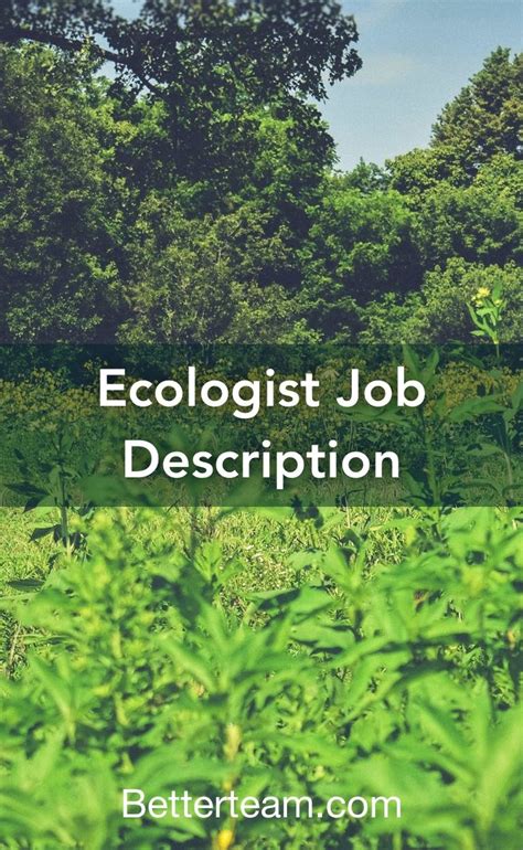 Ecologist Job Description | Interview questions, Job description, Interview