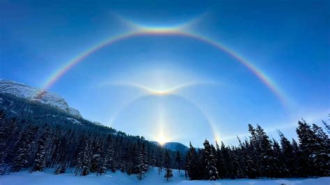 Photographer Captures Rare Yellowstone Double… | Cowboy State Daily