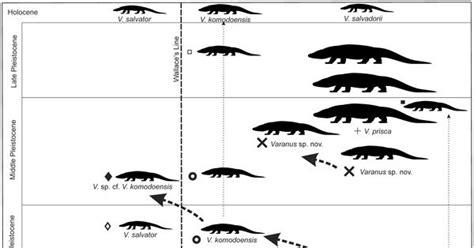 Of Dragons and Diminutive Elephants | WIRED