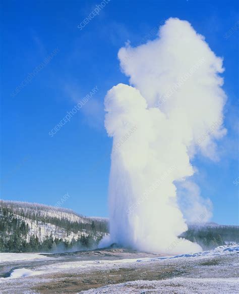 Old Faithful, view of geyser erupting in winter - Stock Image - E570/0105 - Science Photo Library