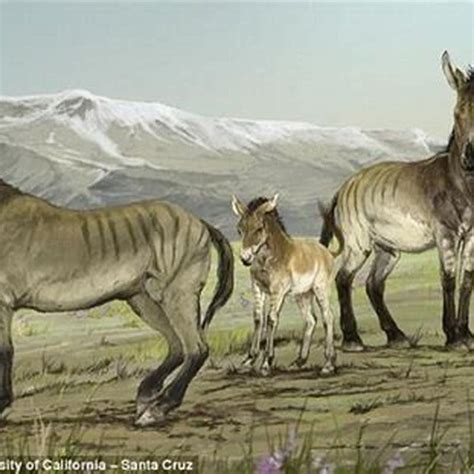 How did the Nisean horse go extinct? - DIY Seattle