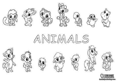 Cute Animals Coloring Pages