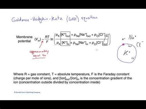 The Goldman-Hodgkins-Katz equation for membrane potential - YouTube