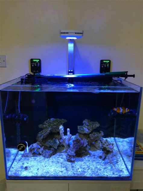 Build Thread - Red sea reefer 250 build | Reef2Reef