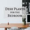 9 Best Desk Plants for the Bedroom - The Girl with a Shovel
