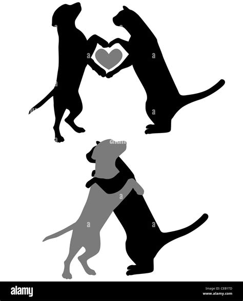 Cat and Dog Silhouette Stock Photo - Alamy