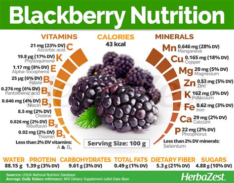 Blackberry Nutrition - #Blackberry is a well-known and widely consumed fruit that boasts ...