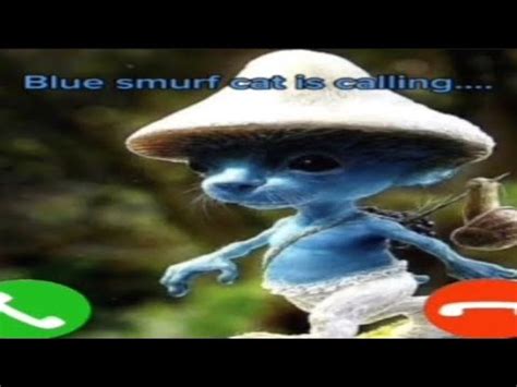 BLUE SMURF CAT😱 - YouTube