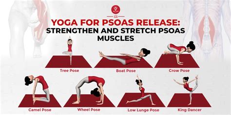 Yoga For Psoas Release: Strengthen and Stretch Psoas Muscles - | Psoas ...