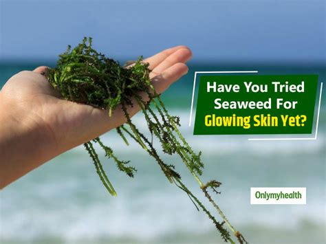 Seaweed Benefits: Why This Marine Algae Is Exceptionally Great For Skin | OnlyMyHealth