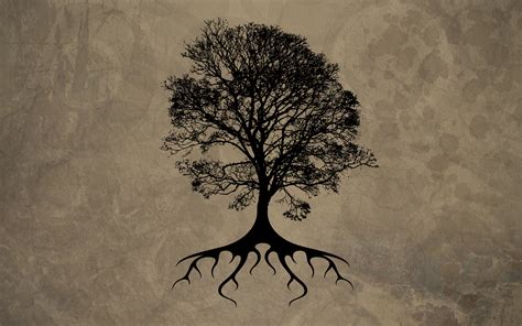 Tree Silhouette HD wallpaper | 1920x1200 | #32246