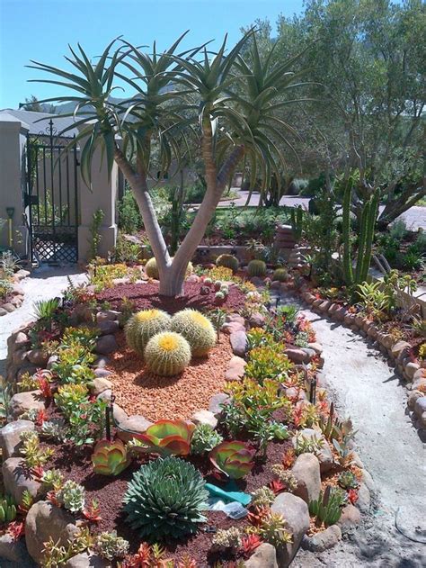 Cactus y suculentas para jardines y patios de exterior - | Rock garden landscaping, Succulent ...