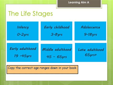 Adulthood Life Stage