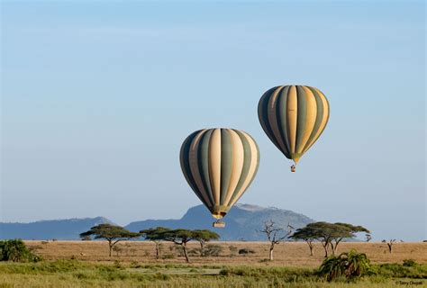 Take a balloon ride over the Serengeti with during our Safari in Tanzania. Watch the video ...