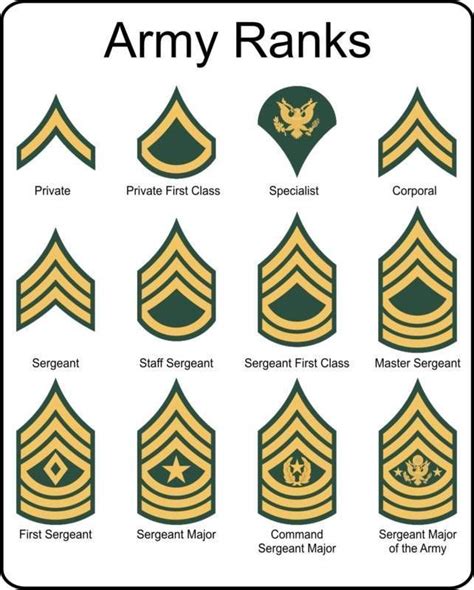 Image result for is u.s. army sergeant first class rank patches in black or navy blue | Cookie ...