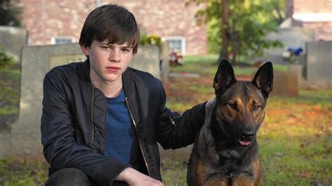 'Max' review: A darned good dog, and a passable dog movie - Chicago Tribune